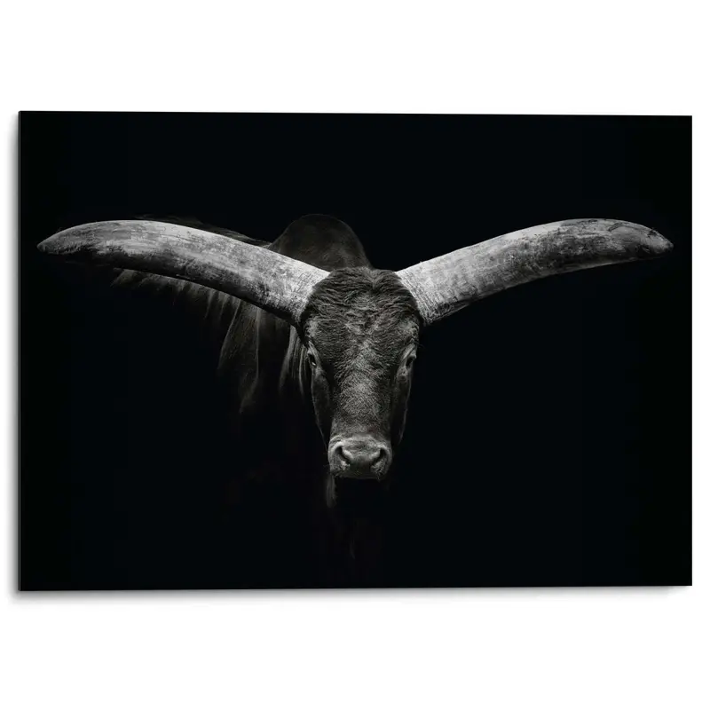 Alu-Dibond Os 50x70
