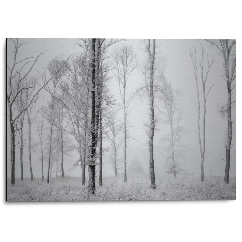 Alu-Dibond Winters bos 50x70