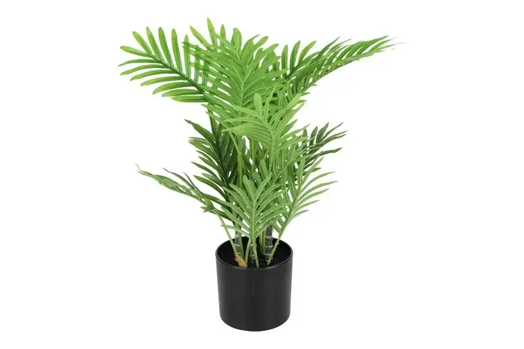 Areca L groen-L26B30H40CM