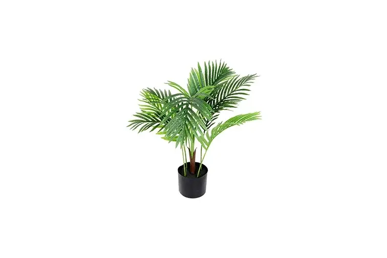Areca S groen-L50B50H80CM