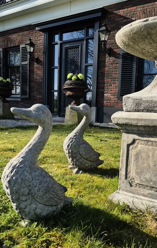 Beeld gans beton