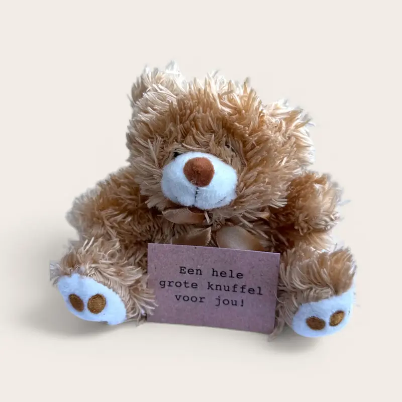 Beertje grote knuffel