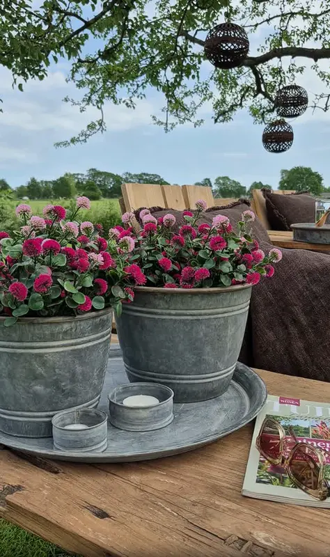 Bellis kunstplant roze mix UV 36 cm