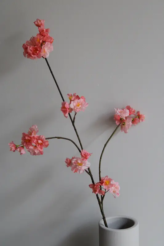 BLOESEMTAK | ZALM | 92CM