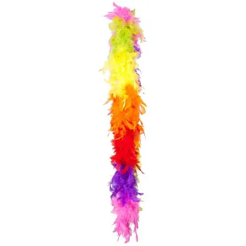 Boa regenboog 50gr