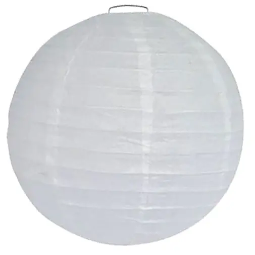 Bollampion wit 50cm.