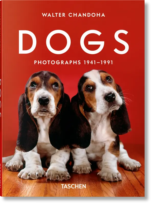 Book Dogs Photographs