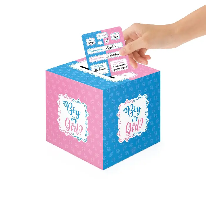Boy or girl ? Babyshower game