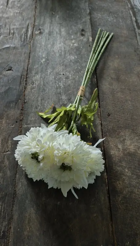 Calendula boeket wit 49 cm - 5 stelen