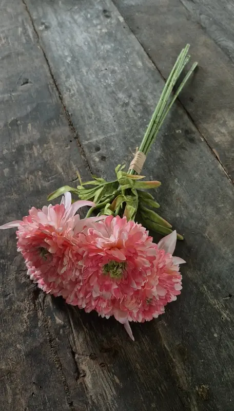 Calendula boeket zalm roze 49 cm - 5 stelen