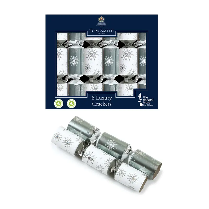 Christmas crackers doos 2302 6x 8 inch zilver/wit