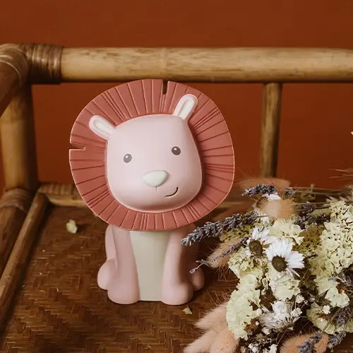 Coin Bank Hakuna