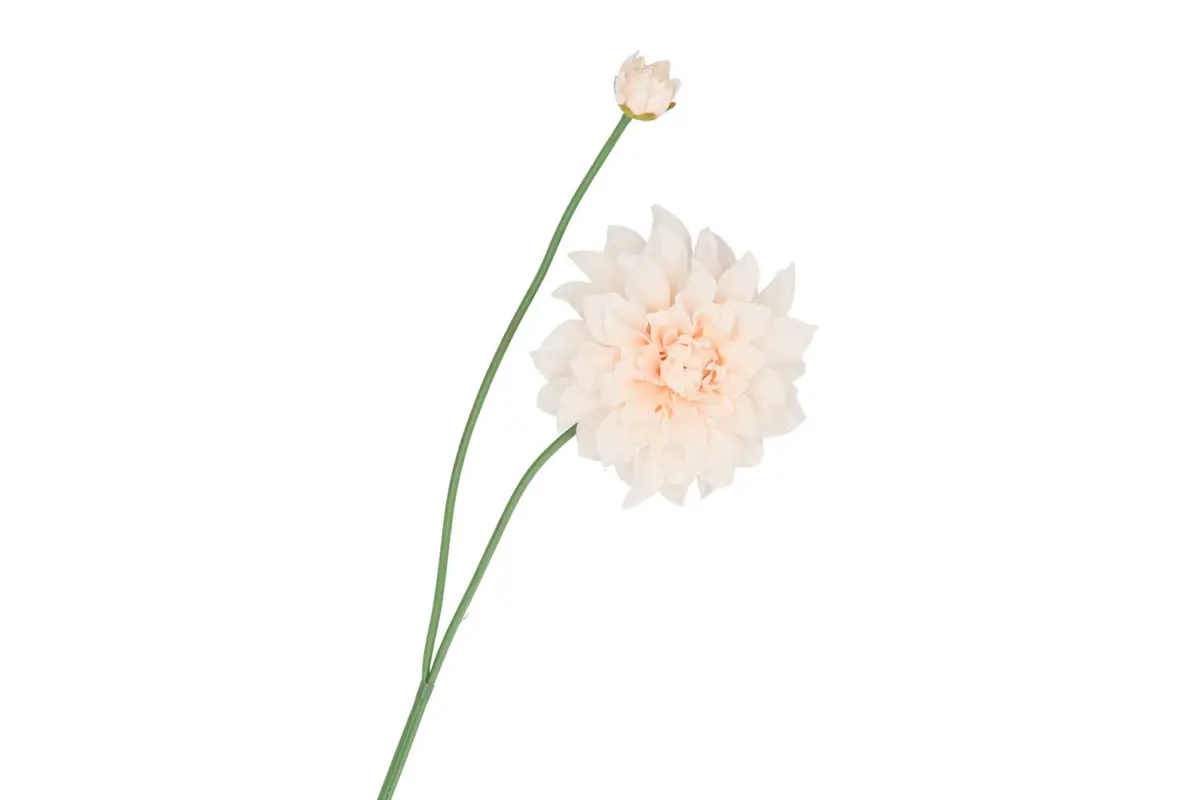 DALIA | BEIGE | 78CM