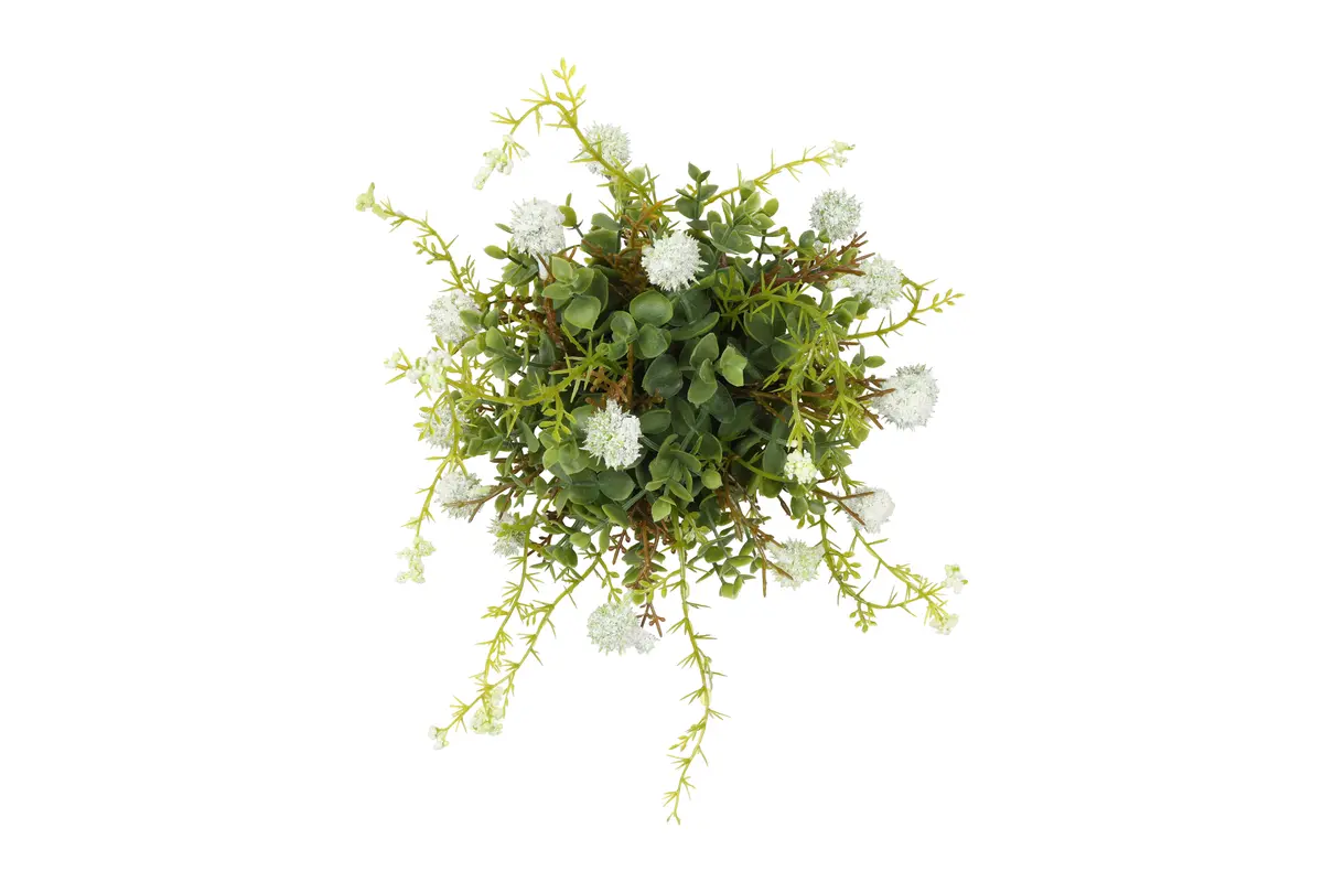 Deco halve bol Echinops/eucalipthus L wit