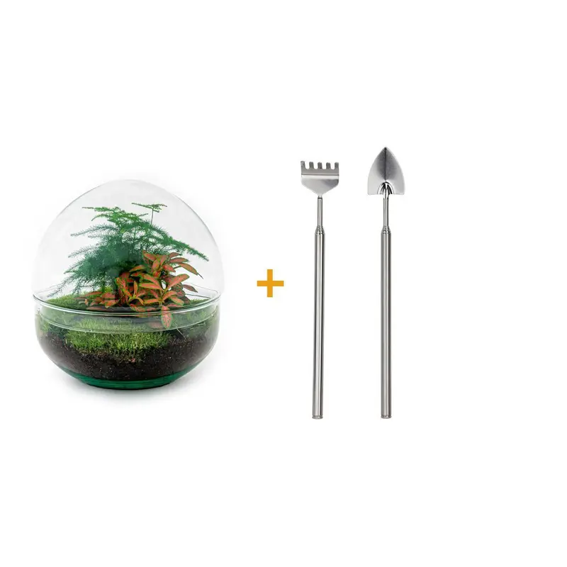 DHZ Kit terrarium - Dome Rood - ↕ 20 cm - Hark + Schop