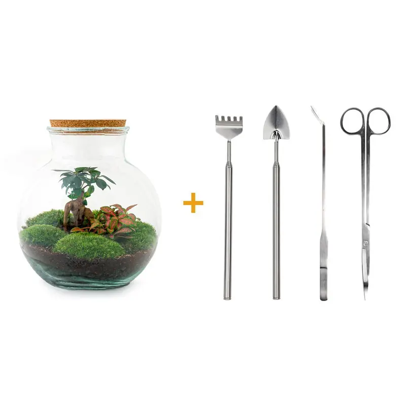 DHZ terrarium - Teddy bonsai - ↕ 26,5 cm - Hark + Schop + Pincet + Schaar