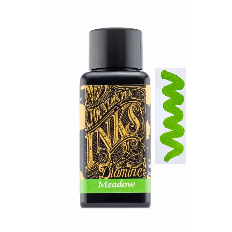 Diamine Meadow ink 30ml