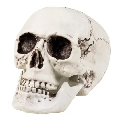 Doodshoofd met bewegende kaak 17x15cm