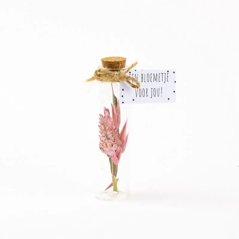 Droogbloem boeket roze 8cm