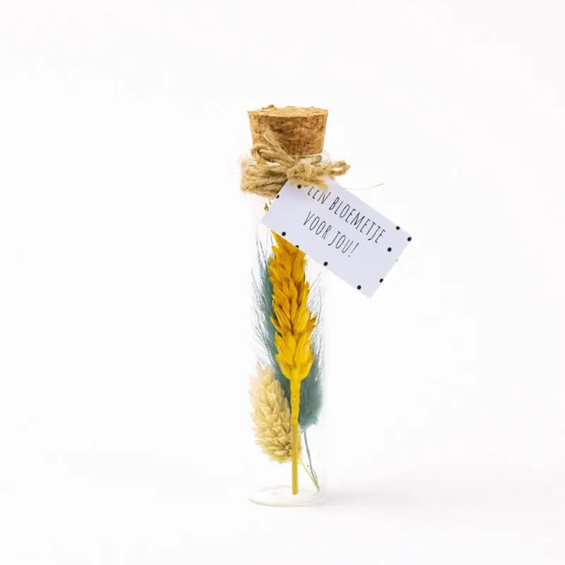 Droogbloem multi colour 11cm