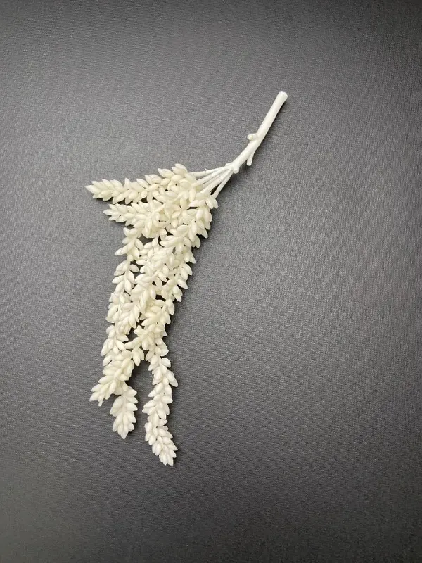 Erwtenplant kunst crème
