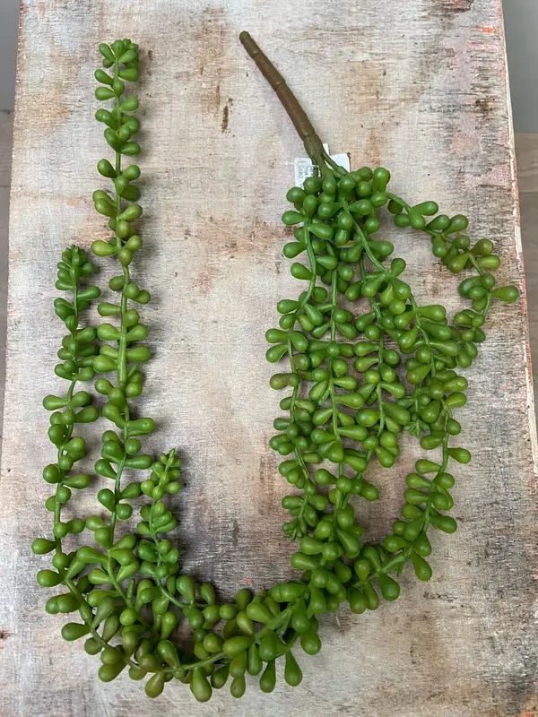 Erwtenplant kunst groen rond lang