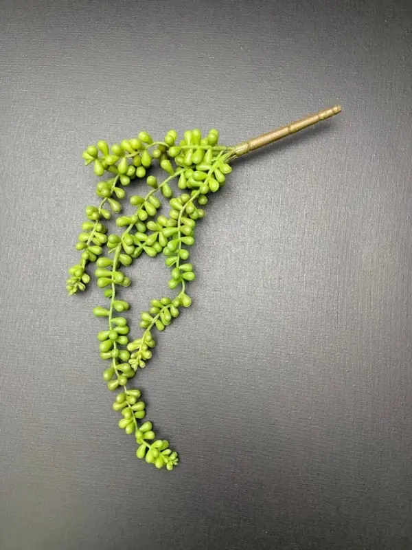 Erwtenplant kunst groen rond