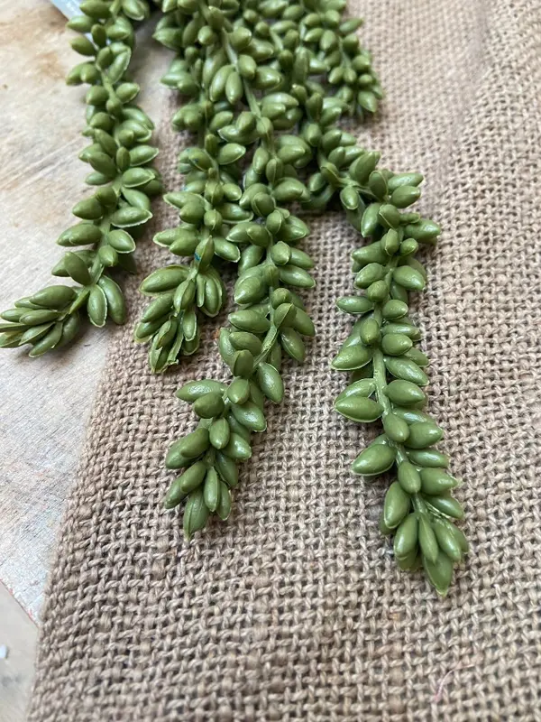 Erwtenplant kunst groen