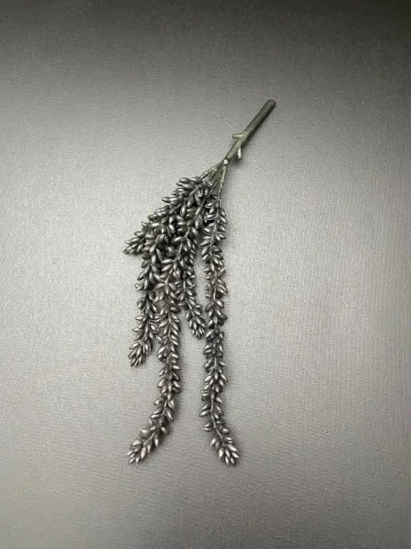 Erwtenplant kunst zwart