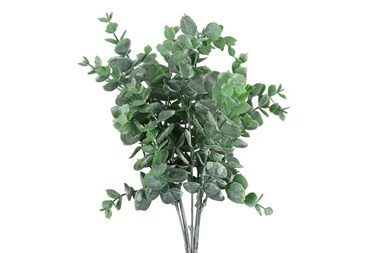 Eucalypthus L vorst-L20B20H35CM