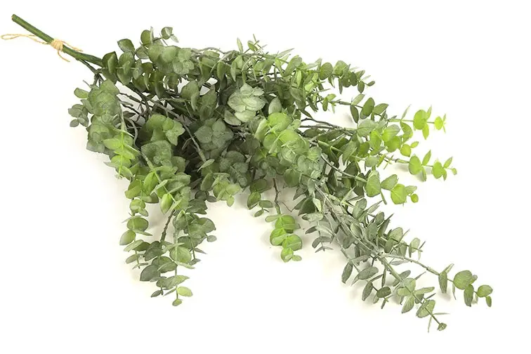 Eucalyptus groen-L30B30H62CM
