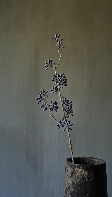 Eucalyptusvrucht kunsttak donkerbruin - 58 cm