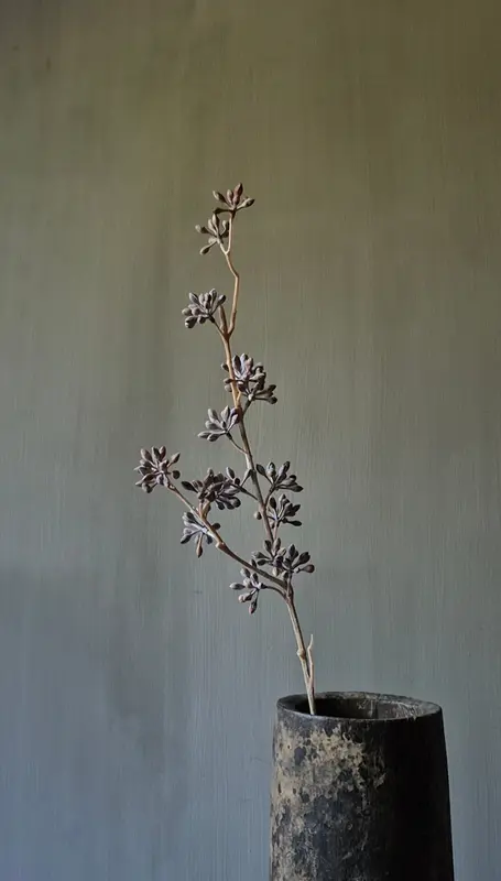 Eucalyptusvrucht kunsttak lichtbruin - 58 cm