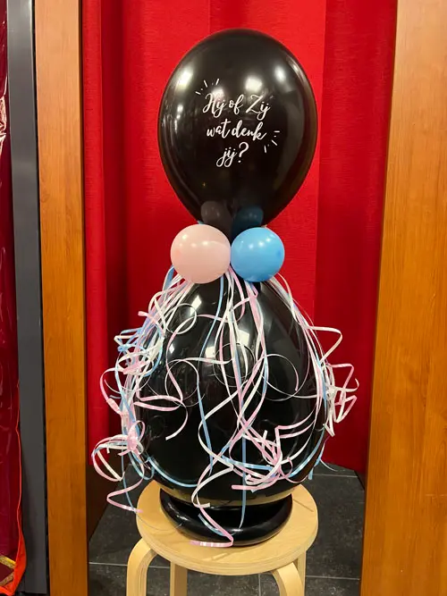Gender reveal ballon he or she?