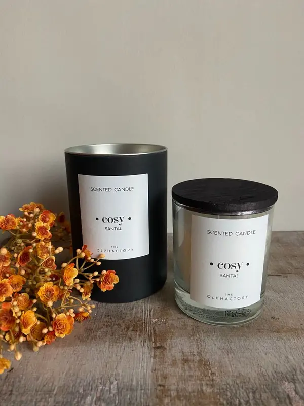 Geurkaars • cosy • Santal
