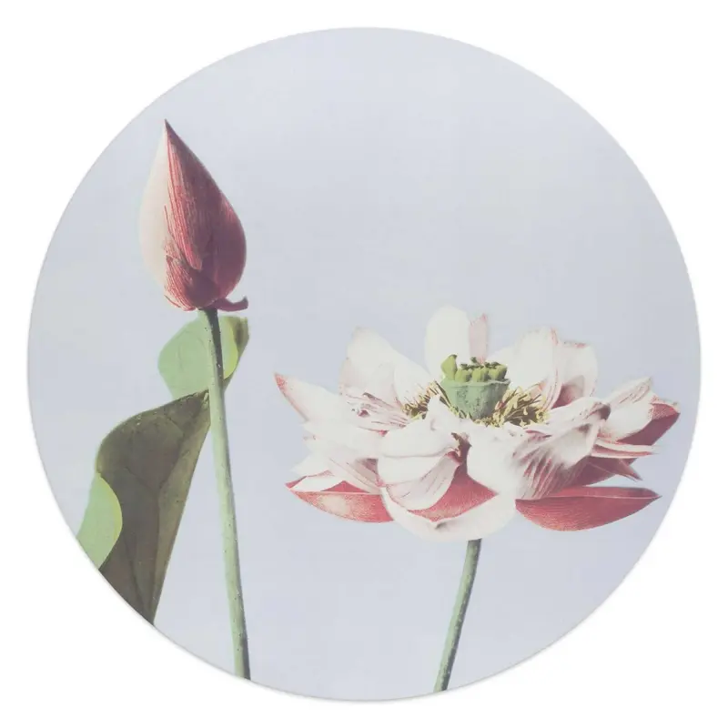 Glasschilderij Elegante Bloem 50 Rond