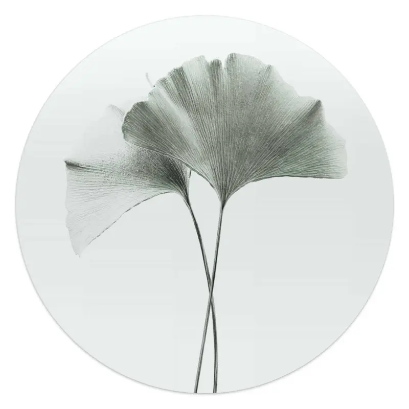 Glasschilderij Ginkgo Blad 50 Rond
