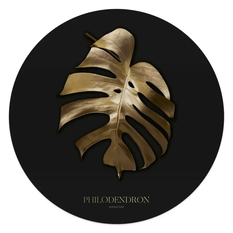 Glasschilderij Monstera Goud 50 Rond