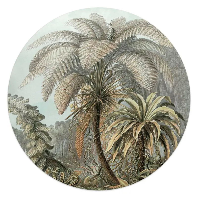 Glasschilderij Palmboom 50 Rond