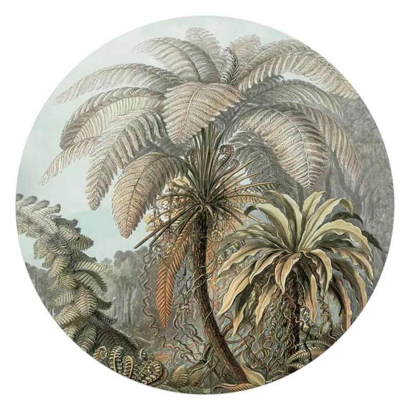 Glasschilderij Palmboom 70 Rond