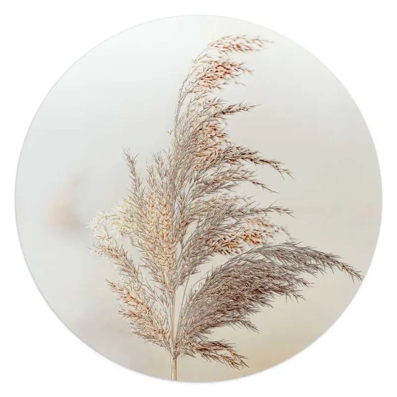 Glasschilderij Pluim in de wind 50 Rond