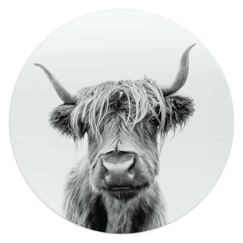 Glasschilderij Schotse Hooglander 50 Rond