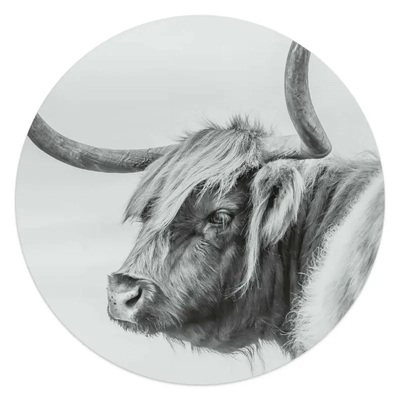 Glasschilderij Schotse Hooglander profiel 50 Rond