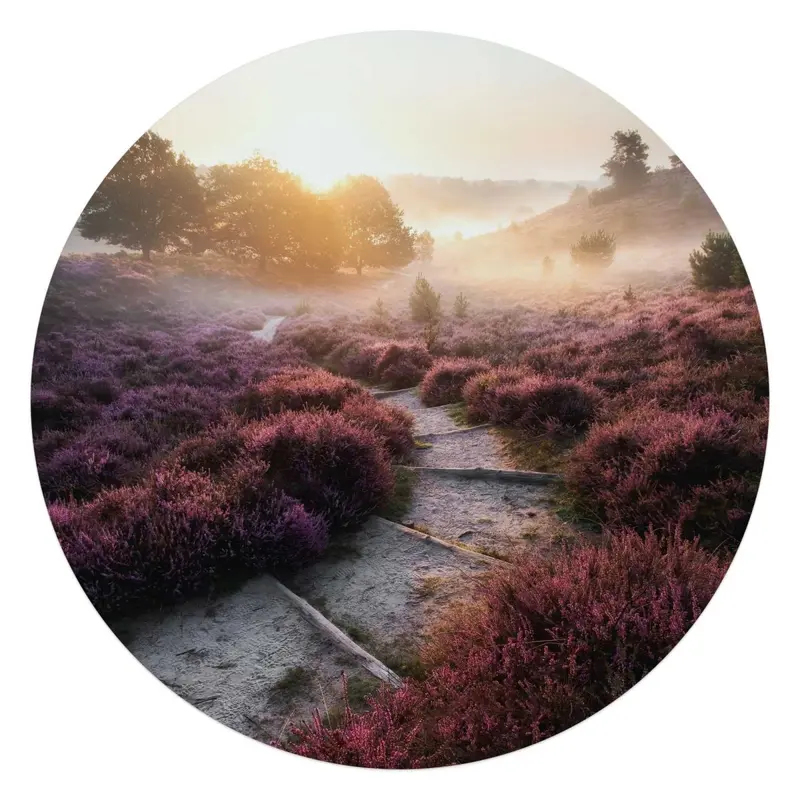Glasschilderij Wandelpad langs de heide 70 Rond