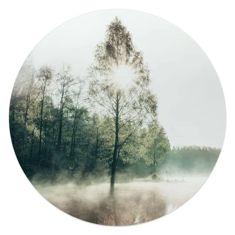 Glasschilderij Zon door de boom 50 Rond