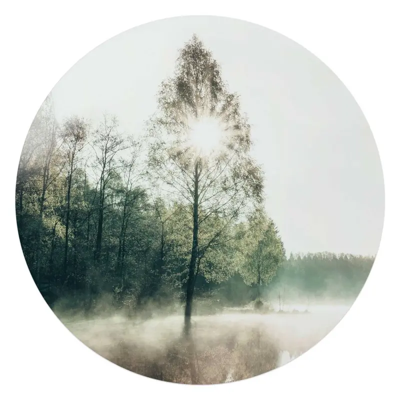 Glasschilderij Zon door de boom 70 Rond