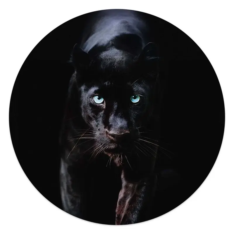 Glasschilderij Zwarte Panter 50 Rond