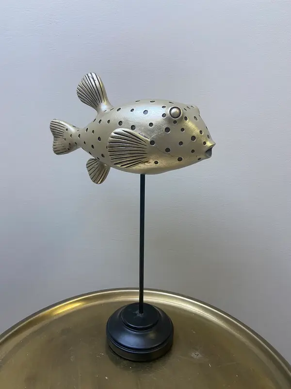 Happy fish