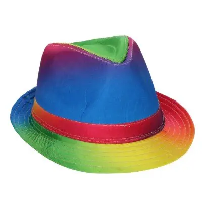 Hoed regenboog meerkleurig
