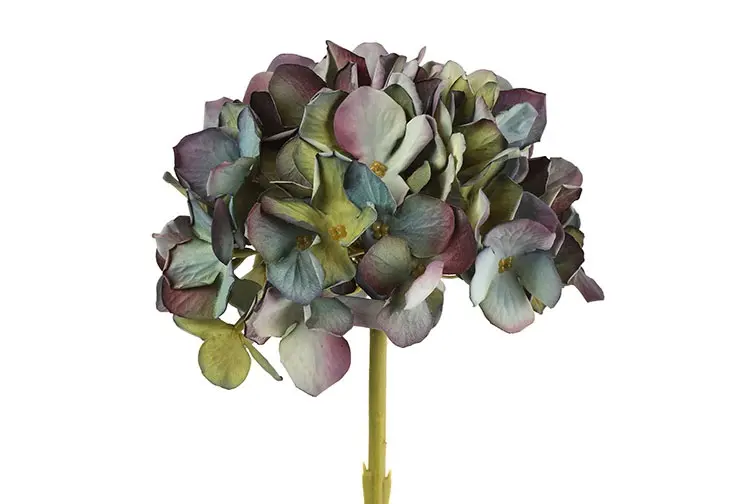 Hydrangea ro S blauw-L18B18H47CM